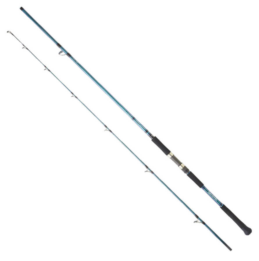 DAIWA GRANDWAVE 2.90M, 28-84GR, 2P SHORE JIG KAMIŞ - 1