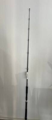 DAIWA LEGALIS O BF JG 1.73M, 100-300GR, TEK P.JIG KAMIŞ - 1