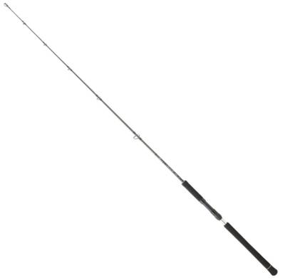 DAIWA LEGALIS O BF JG 1.73M, 100-300GR, TEK P.JIG KAMIŞ - 2