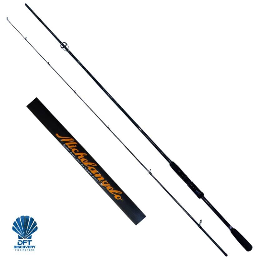 DFT Michelangelo 243 cm Spin Olta Kamışı 10-35 g - 1