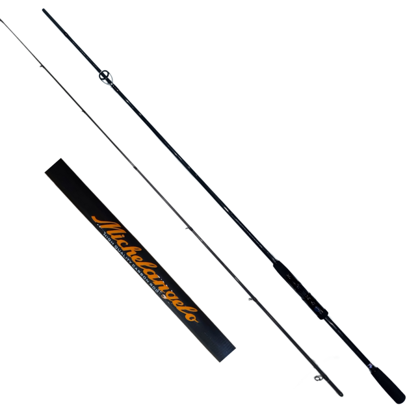 DFT Michelangelo 274 cm Spin Olta Kamışı 10-35 g - 1