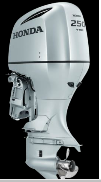 HONDA D.M. BF 250D XCRU - 1