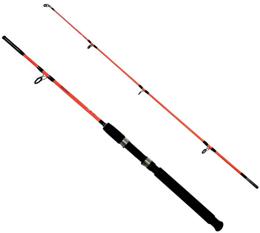 Kendo Holiday Boat 1.50m 100-250gr 2 Parça - 1