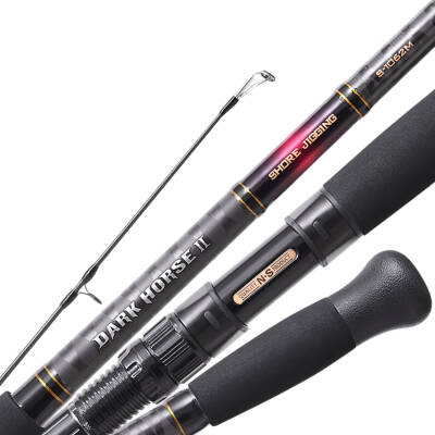 NS Black Hole Dark Horse II 290 Cm Max. 100 Gr Shore Jig Kamışı - 1