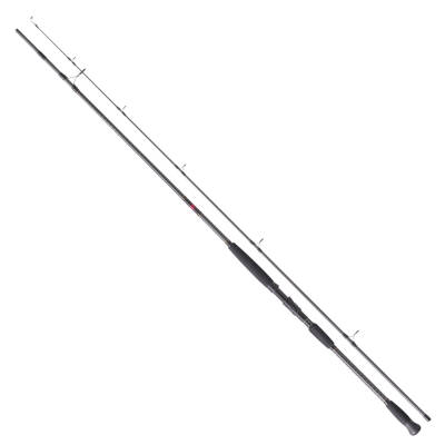 NS Black Hole Dark Horse II 290 Cm Max. 100 Gr Shore Jig Kamışı - 5