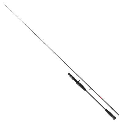 NS Black Hole Dark Horse II B Slow Pitch 198 Cm Max. 300 Gr Jig Kamışı - 5