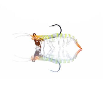 PANDORA CARIDINA KARİDES - 1