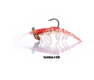 PANDORA CARIDINA KARİDES - 3