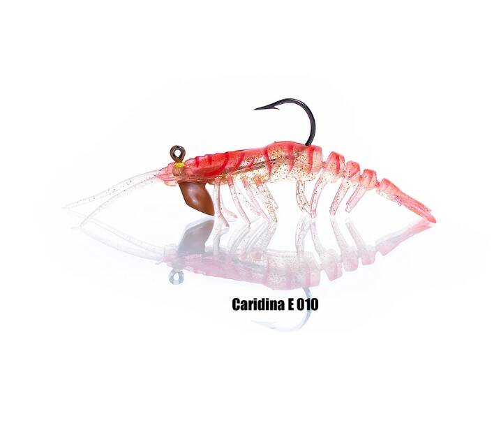 PANDORA CARIDINA KARİDES - 3