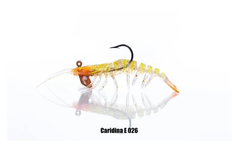PANDORA CARIDINA KARİDES - 4