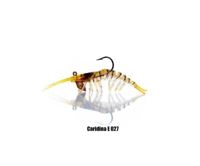 PANDORA CARIDINA KARİDES - 5