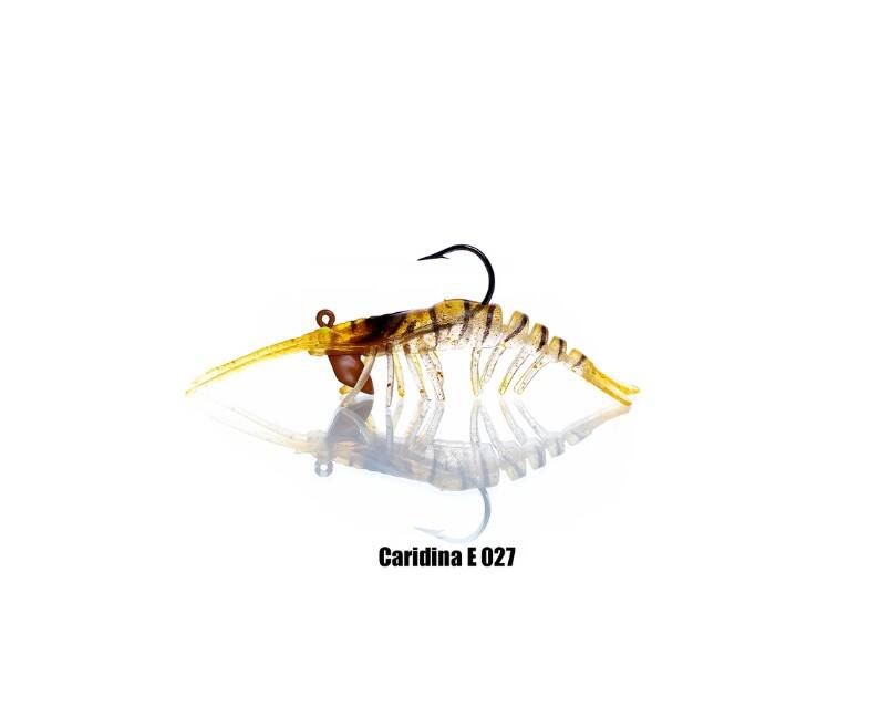 PANDORA CARIDINA KARİDES - 5