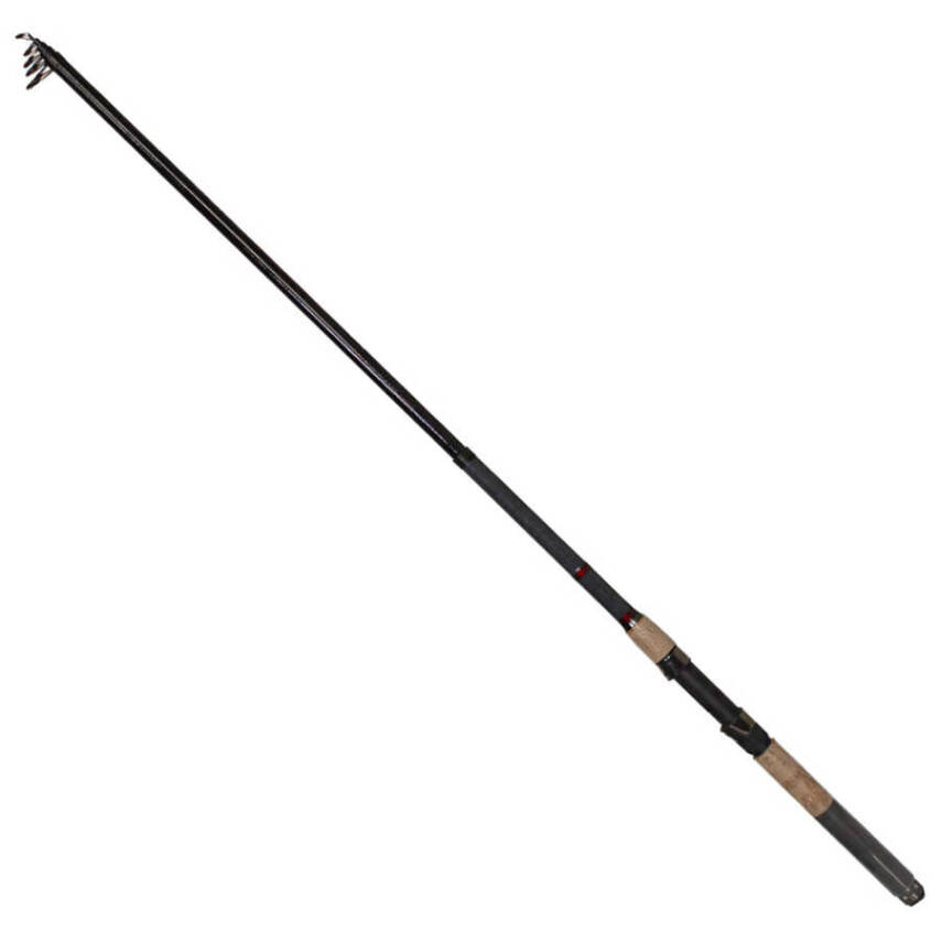 REMIXON SAPPHIRE 2.40M 10-40GR TELE KAMIŞ - 1