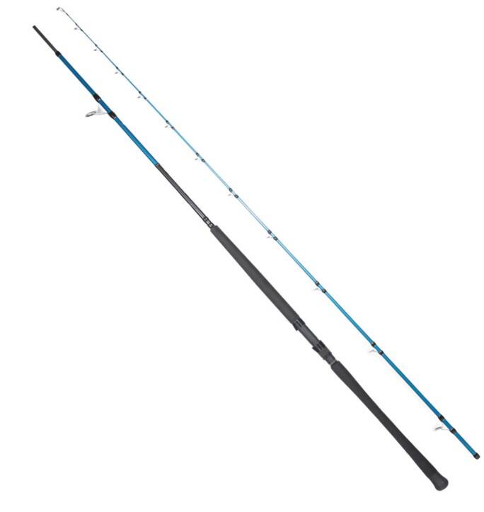RYUJI SHORE GAME FUJI KW 3.10M 60-150GR 2P SHORE JIG KAMIŞ - 1