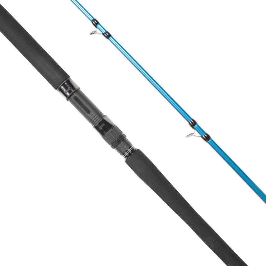 Ryuji Shore Game Fuji KW 295 Cm 30-100 Gr Shore Jig Kamışı - 1